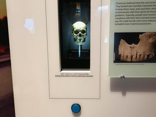 GCEF-3. Latte-Ancient Heritage-Archaeology 2-Skull